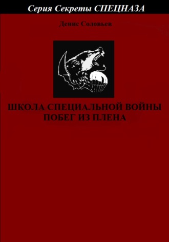 Денис Соловьев, Школа специальной войны. Побег из плена